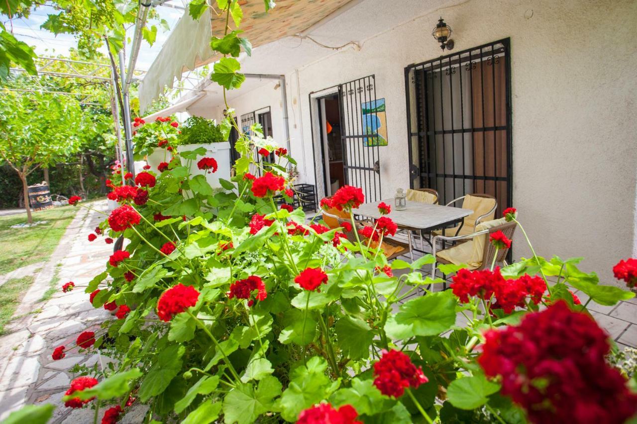 Вилла Nakou House Врачос Экстерьер фото